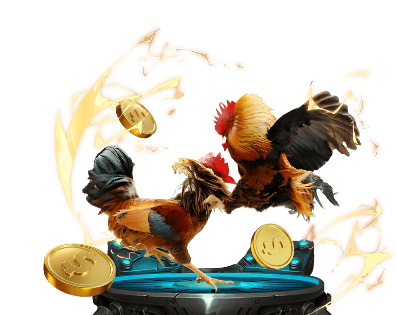 Đá gà cựa sắt hấp dẫn tại abc8bet